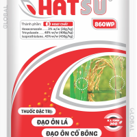 Gói HATSU 86WP  100gr