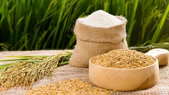 Giá lúa gạo hôm nay ngày 19/10/2026: Gạo nguyên liệu xuất khẩu giảm