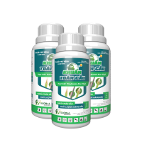 Chai KHUẨN TOÀN CẦU 50SC 250ml (xanh)