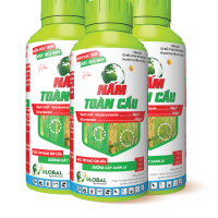 Chai NẤM TOÀN CẦU (xanh) 300SC 500ML
